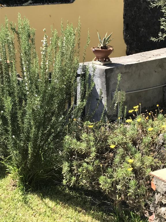 Al Villino Βίλα Κατάνια Εξωτερικό φωτογραφία