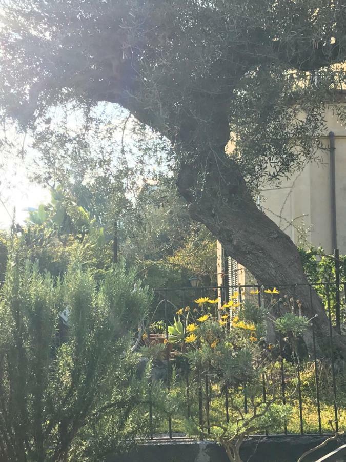 Al Villino Βίλα Κατάνια Εξωτερικό φωτογραφία